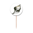 thumbnail image 1 of Marine Life Black Snail Illustration Toothpick Flags Round Labels Party Decoration, 1 of 3