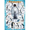 thumbnail image 4 of Penguins 100 Piece Jigsaw Puzzle, 4 of 4