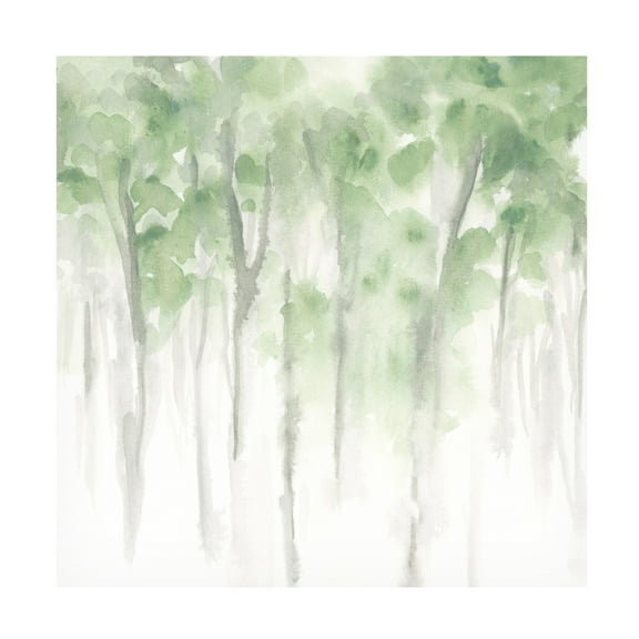 Trademark Fine Art June Erica Vess Misty Grove I Canvas Wall Art