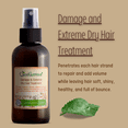 thumbnail image 2 of Just Nutritive Damaged & Extreme Dry Hair Leave-in Treatment, Strengthen, Repair & Moisturize, 4oz, 2 of 2