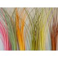 thumbnail image 2 of Hareline Quill Body Frying Pan PMD, 2 of 3