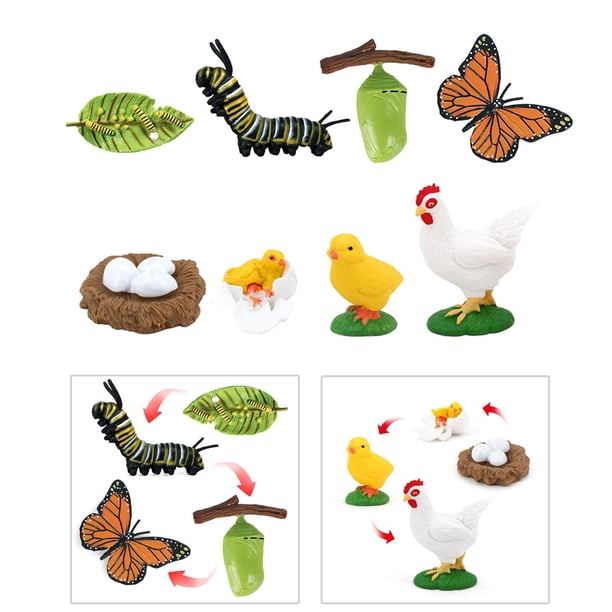 Juguetes de Aprendizaje para de Crecimiento de Mariposas Y Gallinas de de Plástico Hugo Juego de crecimiento de insectos para niños