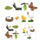 thumbnail image 1 of Juguetes de Aprendizaje para de Crecimiento de Mariposas Y Gallinas de de Plástico Hugo Juego de crecimiento de insectos para niños, 1 of 9