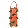 thumbnail image 1 of 2 bolsas de cultivo colgantes para fresas, tomates, interior y exterior, cultivo vertical de verduras, hierbas y flores, 1 of 5