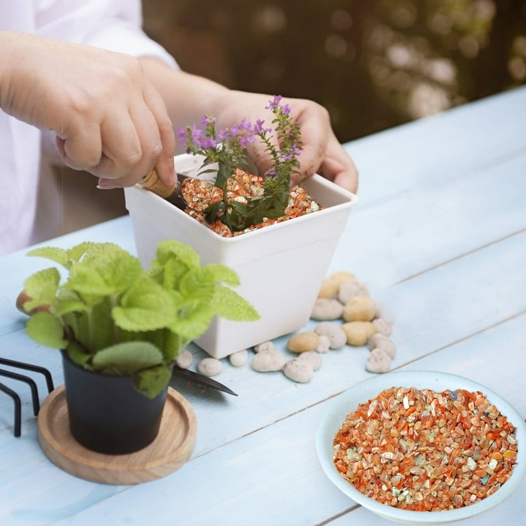 Pebbles for Indoor Plants,Rocks for Plants Indoor,Coarse Sand for Plants,Succulent  Rocks Pebbles for Planters,Succulent Gravel,Decorative Rocks for Potted  Plants,Stones for Plants,Decorative Gravel - Walmart.com