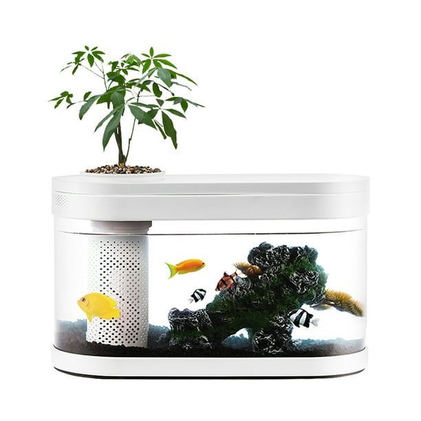 Desgeo Ecological Goldfish Tank Living Room Home Desktop Small Symbiosis System Flower Muzy Lazy Aquarium Led Colorful Fish Box With Oxygen Filter Pump Set Walmart Com Walmart Com