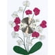 thumbnail image 1 of Kit de Mosaico Bsvklp Pintura Resina DIY Diamante 5D Color, 1 of 9