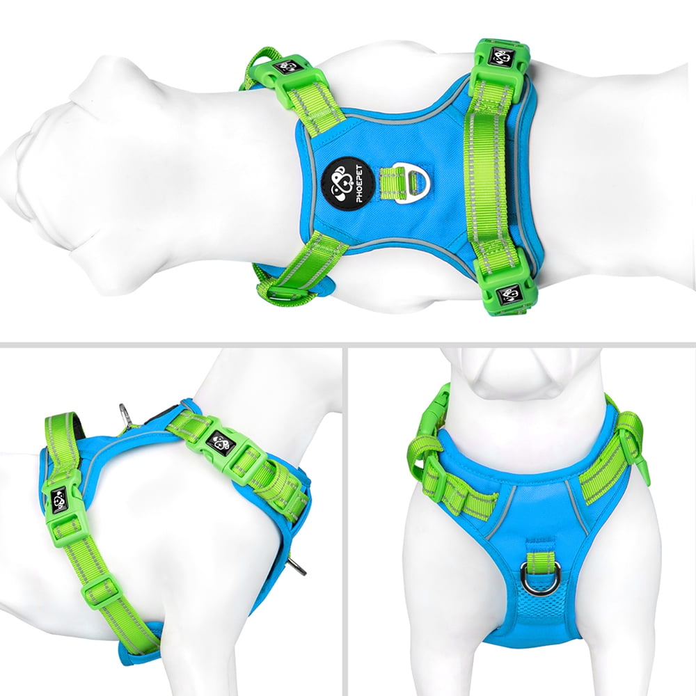 PHOEPET No Pull Dog Harness, Unique Colors Reflective Adjustable Dog Vest, with Soft Training Handle Metal Clips for Small Medium Large Dogs (Blue Base & Green Straps)