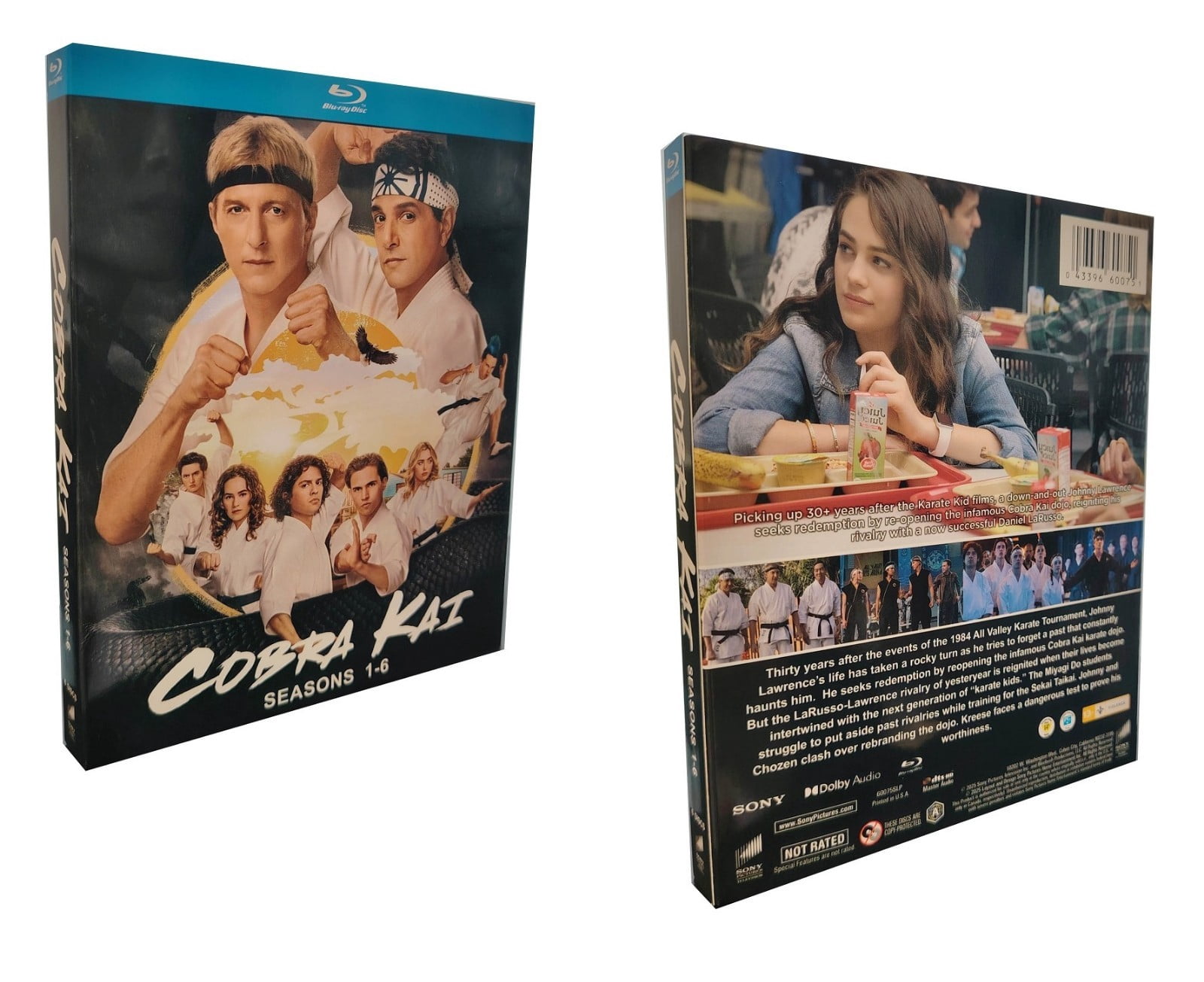 Cobra Kai Complete Series Seasons 1-6 (DVD), Overbrook
