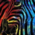 thumbnail image 3 of Kimberly, Allen 20x20 Black Modern Framed Museum Art Print Titled - Zebra 1, 3 of 5