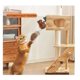 thumbnail image 4 of Jumping Squirrel Cat Toy,Rechargeable Hanging Squirrel Cat Toy,Interactive Toys, 4 of 5