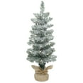 thumbnail image 2 of Vickerman 2' Frosted Pole Pine Artificial Christmas Tree with 35 Clear Lights, 2 of 2