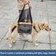 thumbnail image 4 of Arnés de soporte para perros Coodeo 2XL negro, 4 of 6