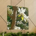 thumbnail image 6 of Magnolia Tree Splendor - Canvas, 6 of 10
