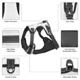 thumbnail image 4 of Bingfone Heart Rabbit No Pull Dog Vest Harness for Small Medium Large Dogs Strap for Puppy Walking,Training,Dog Harness-Small, 4 of 7