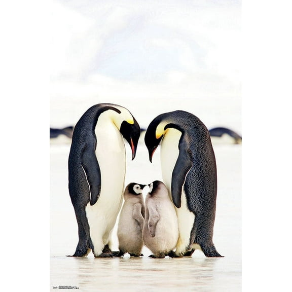 Trends International Emperor Penguins - Group Poster