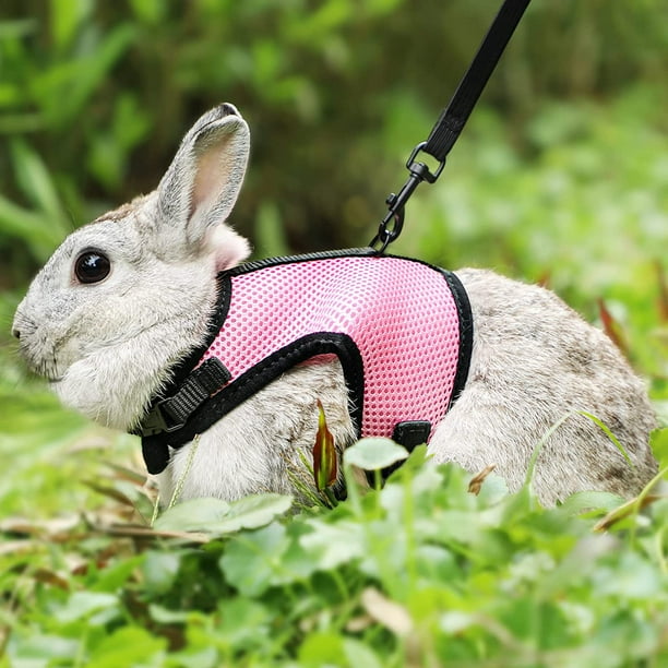 Adjustable Soft Rabbit Harness with Elastic Leash L