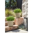 thumbnail image 5 of Veradek Demi Series  12" Plastic-Stone Planter - 2-Pack Sand, 5 of 10
