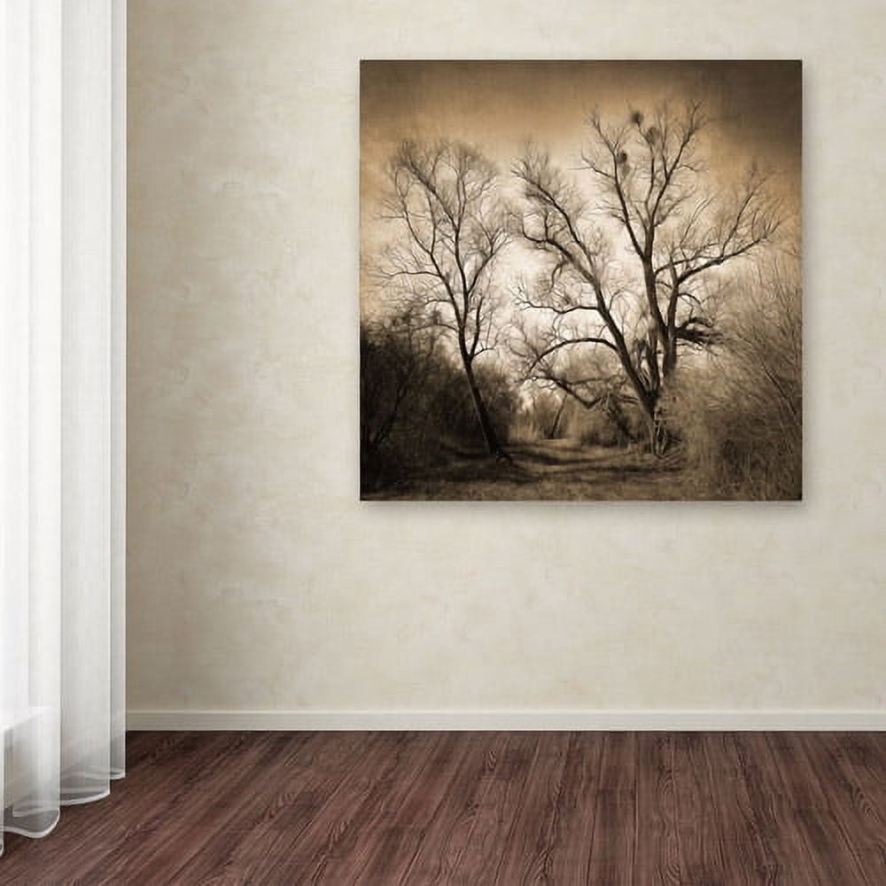Trademark Fine Art "Sepia Ghost" Canvas Art by Philippe Sainte-Laudy