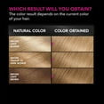 thumbnail image 4 of Garnier Olia Oil Powered Permanent Hair Color, 8.31 Medium Golden Blonde, 4 of 6