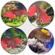 thumbnail image 5 of 2 unids Simulación luminosa artificial Fish Aquarium Adorno Adorno Decoración, 5 of 7