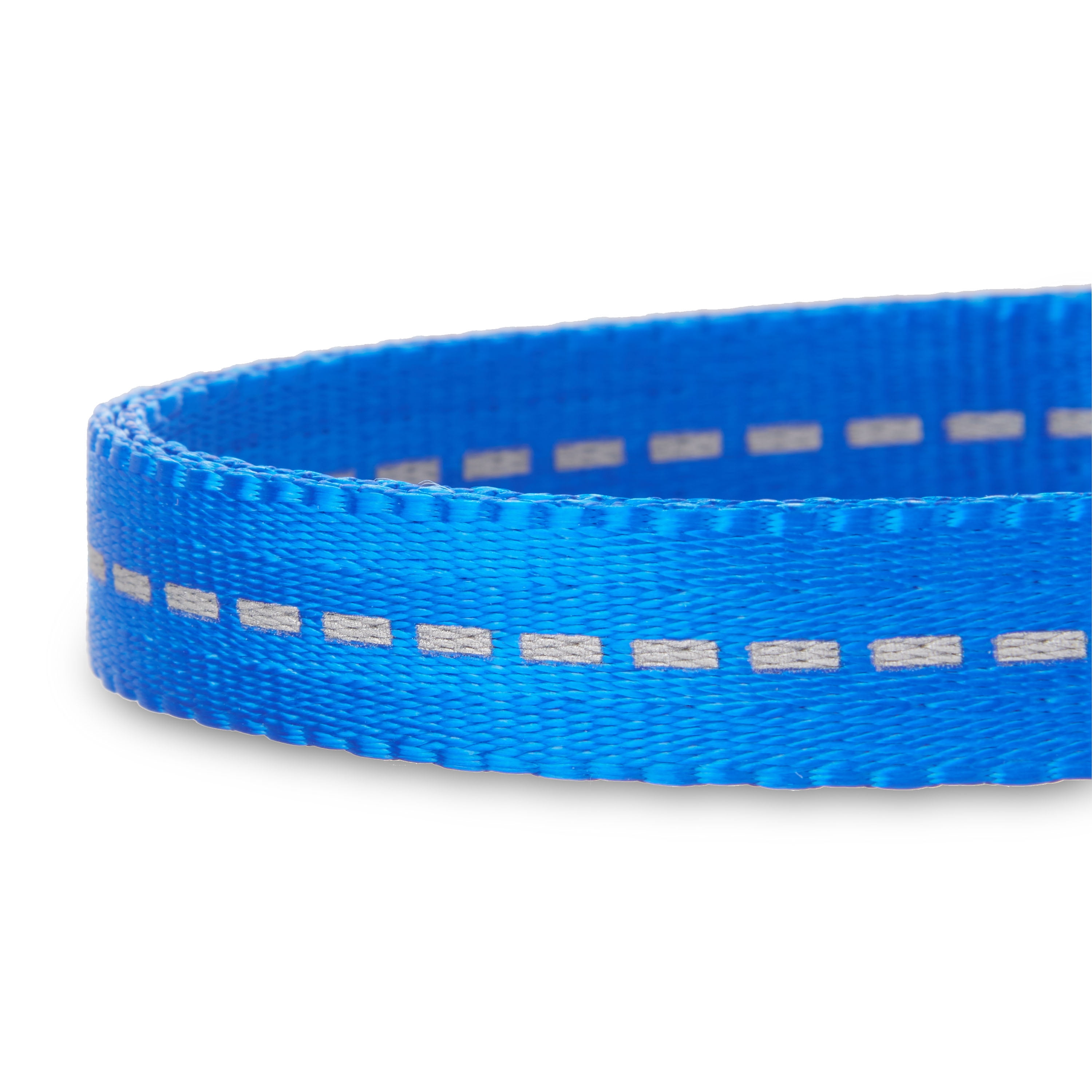 Vibrant Life Solid Nylon Dog Collar, Blue, Large