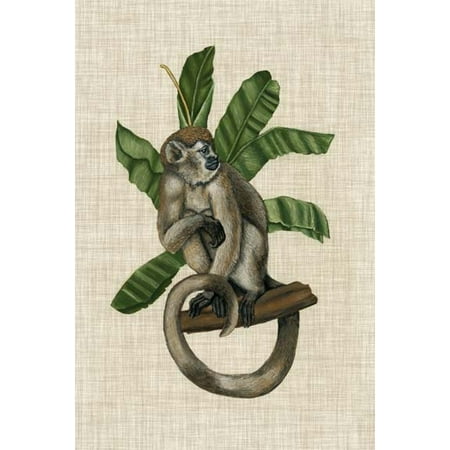 Canopy Monkey I Poster Print by Naomi McCavitt (18 x 26)