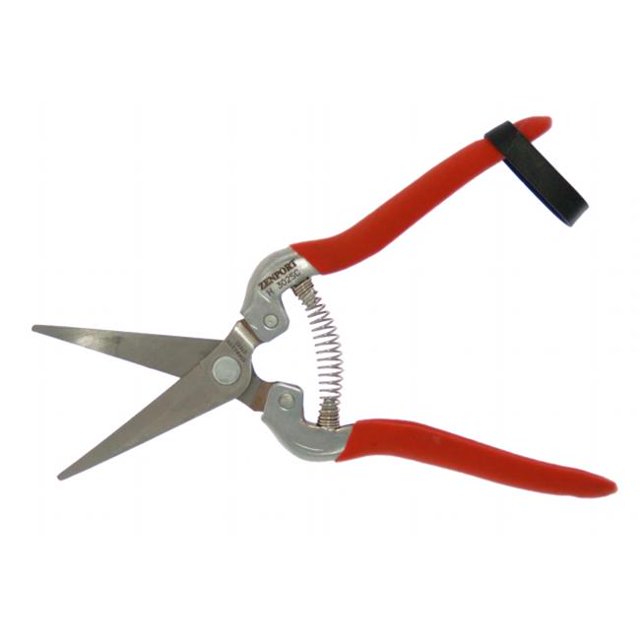 Cueillette de Récolte en Acier Inoxydable Incurvé&44; Boîte de 12
