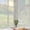 Striped Pattern, variant on Frosted Glass Window Film 17.7x78.7 Inch Floral Window Privacy Film Lattice Window Cling Film Non Adhesive Glass Sticker for Front Door Home UV Block Vinyl Windows Covering for Bathroom House
