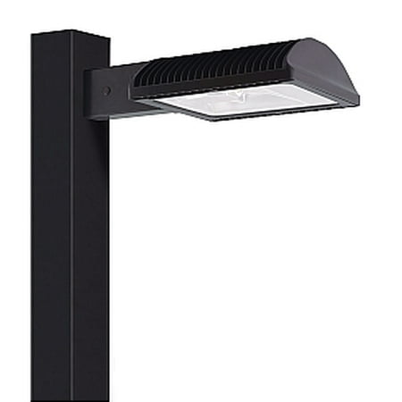 

RAB Lighting 50W LED ALED50 Cool Type II Bronze Area Light with 8in Pole