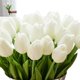 thumbnail image 1 of 12PCS / Set PU Impresionante Flor de tulipán de Holanda Toque real Arreglo de flores de seda artificial Ramo Hogar Habitación Oficina Decoración del banquete de boda (Blanco) Xemadio SNFLD1732, 1 of 9