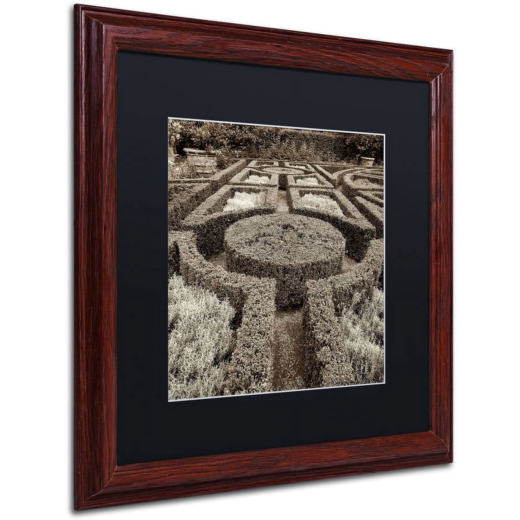 Trademark Fine Art "Tuscan Giardini I" Canvas Art by Alan Blaustein, Black Matte, Wood Frame