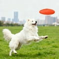 thumbnail image 4 of Pet Toys Rubber Chew Proof Disc for Outdoor Training and Interactive Play Non- Mental Disc, 4 of 4