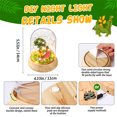 thumbnail image 2 of Make Your Own Dinosaur Night Light - DIY Light Kit Birthday Crafts Gifts Kids Dinosaur Terrarium Kit Kids Dinosaur Arts Crafts Christmas Gifts Kids Age 4 5 6 7 2 of 12