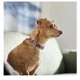 thumbnail image 5 of Marvel Spiderman Comics Dog Collar Size L 18-26"x 1&rdquo;, 5 of 6