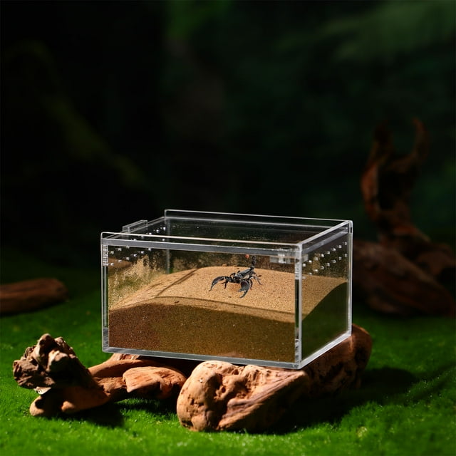 Milisten Caja De Cría Transparente Para Reptiles Con Espacio Cómodo Y