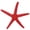 Red, variant on Rupoun Luminous Simulation Starfish Aquarium Decor - Safe Plastic Fish Tank Landscape, Glow in Dark Artificial Ornament (7.87 inches / 20 cm) - Red