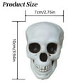 thumbnail image 3 of White Skeleton Head Decoration for Halloween Realistic Skull Figurine for Outdoor Cemetery Decor,Spooky White Halloween Prop Large Skeleton Head Ornament,White Skeleton Skull Prop Figurine(White), 3 of 7