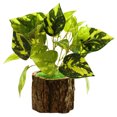 thumbnail image 1 of Fake Plant Plant Realistic: Wooden Pot Artificial Plant Desktop Plant Decoration, 1 of 2