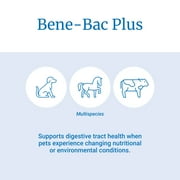 PetAg Bene-Bac Plus Pet Gel - FOS & Probiotics Gel Supplement - 15g Syringe