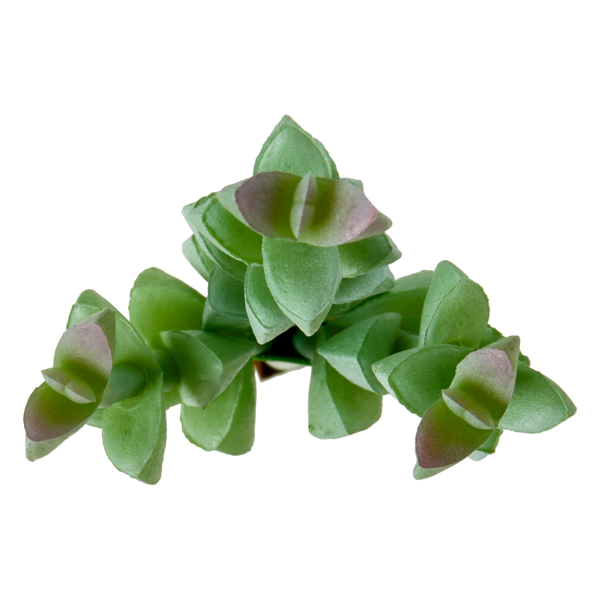 Mainstays Mini Branched Artificial Succulent Pick, Green