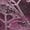 Eggplant, variant on Addison Rugs Chantille Indoor/Outdoor Transitional Floral Chocolate Machine Washable Rectangle Rug, 10' x 14'
