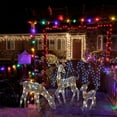 thumbnail image 6 of WINDLAND Light Up Reindeers Outdoor Christmas Decorations Battery Powered for Garden Yard, 6 of 16