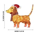 Kezqiaxn Outdoor Christmas Decorations, Christmas Lighted Dachshund ...