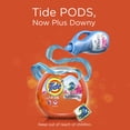 thumbnail image 3 of Cápsulas de detergente para ropa Tide PODS Plus Downy, 75 unidades, 3 of 8