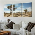 thumbnail image 2 of Nawypu  Joshua Tree National Park California Desert Landscape Photo Stretched Canvas Wall Art 12''x16''X3 Panels, 2 of 4