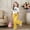 Multicolor, variant on RTKFRFLM Girls Trendy Bell Bottom Outfit Set 2-Piece Clothes Short Sleeve Graphic Tee and Matching Flare Leg Pants Casual Stylish Summer Clothing for Girls Ages 7-13 Years