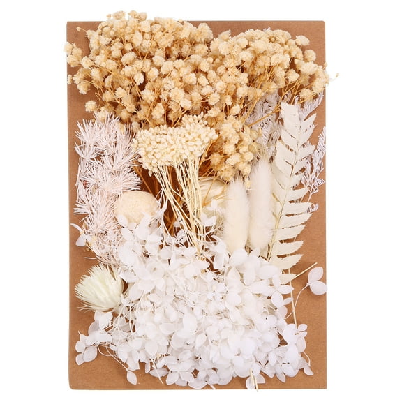 Uxcell Pressed Flowers for Craft Bulk Dried Flowers Natural Pressed Flowers Leaves Beige Series