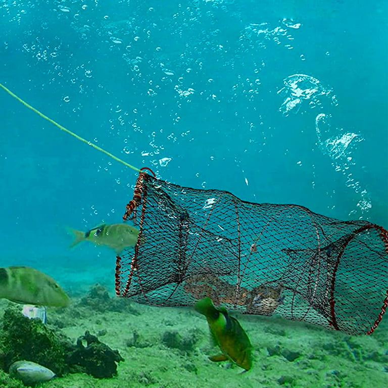 Fishing Net Net Fishing Trap Foldable Fish Cage/fish Basket For Keeping  Bait Crayfish Crab Fish Smelting Minnow Shrimp Lobster