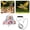 B, variant on BVCL Bird Flying Harness Breathable Escape Proof Clothes Adjustable Bird Harness Rope Outdoor Training Soft Parrot Vest | For Sparrow Conures Use